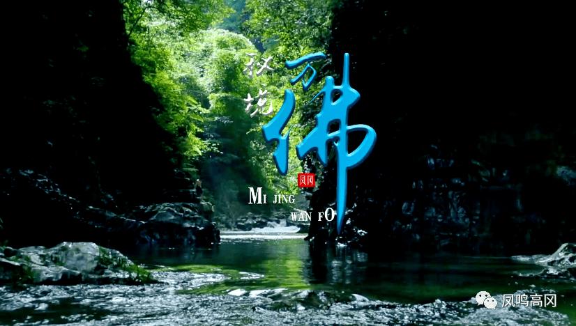 第五人格