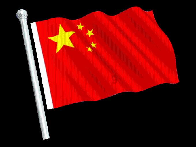 动物家园守卫战