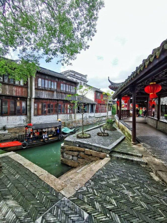 与“大猫”面对面!